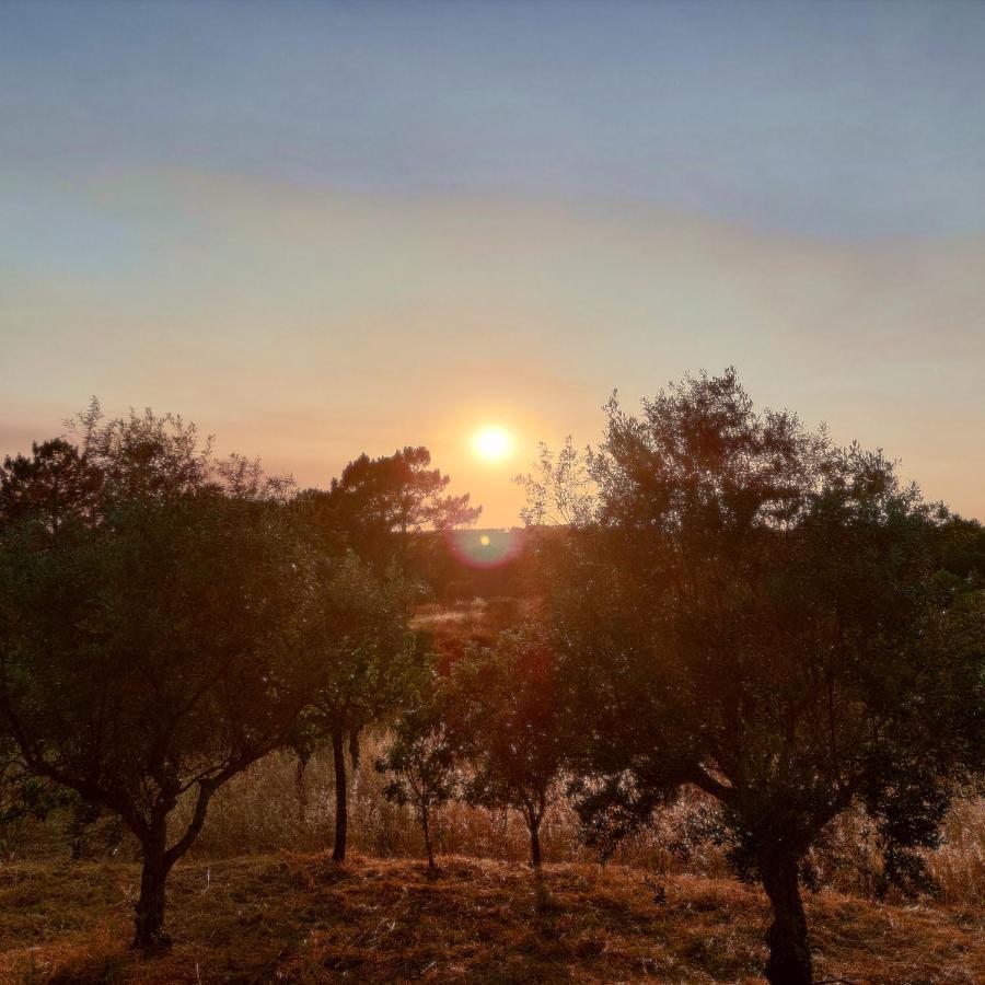הוילה Sardoal Casa Do Pisco מראה חיצוני תמונה